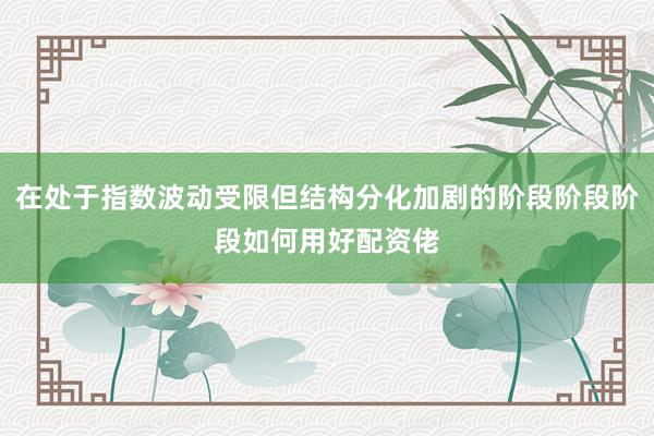在处于指数波动受限但结构分化加剧的阶段阶段阶段如何用好配资佬