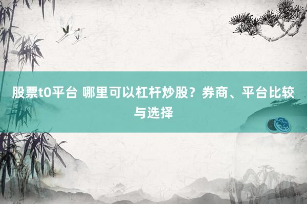 股票t0平台 哪里可以杠杆炒股？券商、平台比较与选择